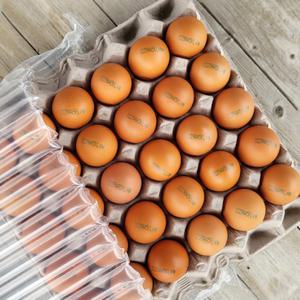 [오늘 산란] 에그트리 생계란 대란 30구(1560g)