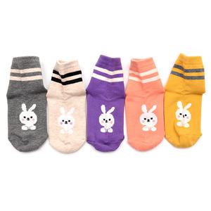 토순이 5켤레 아동 토끼 양말 세트 유아 아기 어린이 여아