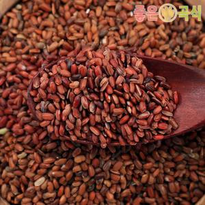 홍미 2025년산 2kg 국산 진도홍미 가바쌀