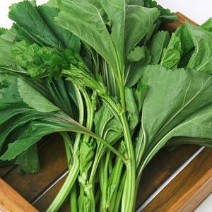 [농협] 한아름드린 아욱 4kg