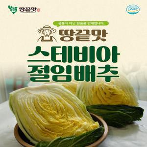 [땅끝맛]스테비아절임배추 10kg HACCP 깨끗하고 맛있게 절인 김장배추