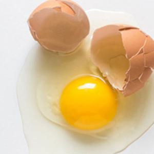 친환경 무항생제 동물복지 유정란 난각번호2번 평사 방목 계란