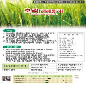 보리(재래종자) 씨앗 1kg