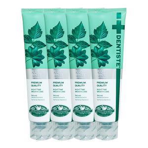 덴티스테 뉴플러스 화이트 나이트타임 치약 160g 4개