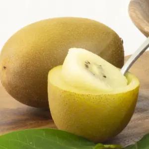 뉴질랜드 제스프리 썬골드키위 31입 (슈퍼점보180g 5.72kg)