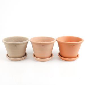 갑조네 이태리 링바소 토분