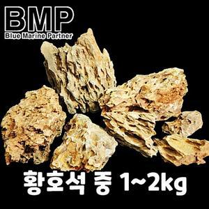 BMP 수조 레이아웃 황호석 중 1kg~2kg 사이즈 랜덤