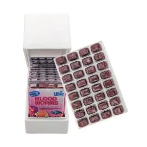 히카리 냉동 장구벌레 히카리 냉짱 12팩(1박스) / 수입사 직수령 드라이아이스포장