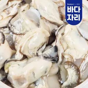 통영 산지직송 당일손질 생굴 1kg 깐굴 석화 통영굴