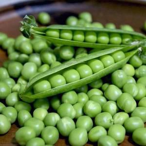 [철따라농산물]국내산 제철 깐 완두콩 냉동 1kg