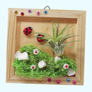 10인용 공기정화식물 틸란 벽장식액자 만들기 어린이집 초등교구 방과후 노인