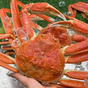 러시아 박달대게 3kg 2-4미내외 자숙 러시아대게 S급