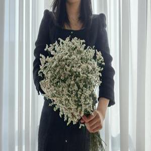 시네신스 생화 꽃다발 생화택배 시네신스꽃 프리저브드플라워 꽃 도매시장 정기구독 절화