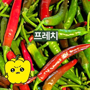 프레치 국내산 싱싱한 청양반홍고추 청양고추반불 3kg