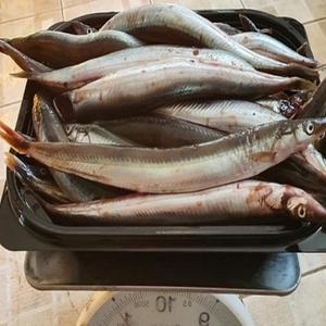 국산 손질양미리 1KG 냉동 급냉 한입생선 술안주 뼈채먹는