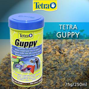 테트라 구피 250ml 열대어 구피사료