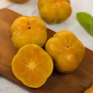 전라도 햇 차량단감 10kg