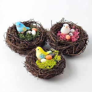 스칸디아모스 공기정화식물 새둥지 만들기 DIY키트 체험