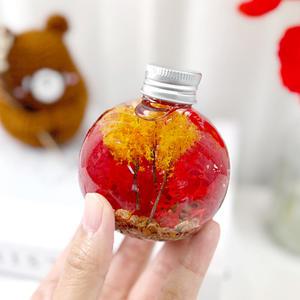 td 토단 취미키트 가을환경 단풍 가로수길 하바리움 만들기 - 1인세트 단체수업활동 선물용 가을하바리움