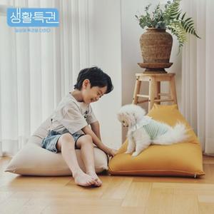 [BZJKRV61_4B]생활특권 쫀득 빈백 (삼각모양)