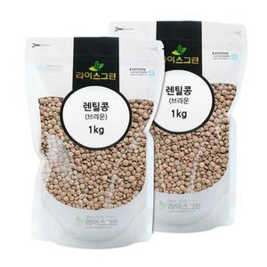 렌틸콩 브라운 2kg (1kgx2개) 갈색렌틸콩 렌즈콩 수입콩
