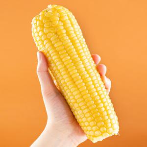 대왕 찰옥수수 특특대 10개입 찐 삶은 냉동 옥수수 백찰