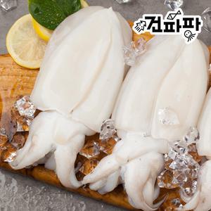 깨끗하게 손질된 냉동 갑오징어 특대 1kg (약 2미 ~ 3미)