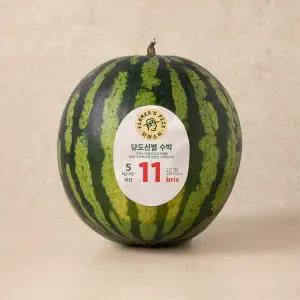 당도선별 수박 4~5kg미만