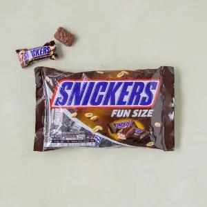 스니커즈 땅콩 펀사이즈 500g