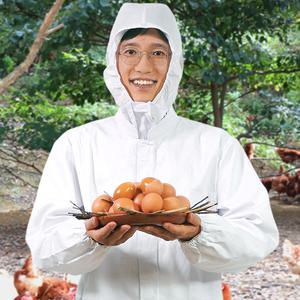 자연방사 동물복지 구운란 훈제란 구운계란 60구