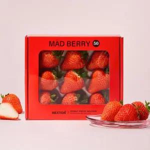 [프리미엄] 스마트베리 (메드베리) 220g 팩