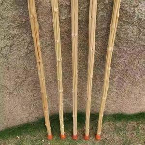 나무 지팡이 어르신 감태나무 명아주 등산 트래킹 130 할아버지 노인정 생신 청려장 수제