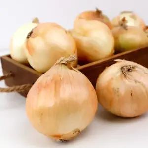 [원픽파머스] 국내산 창녕 고령 단단한 햇양파 대 5kg