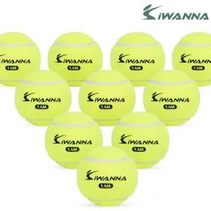 아이워너 연습용 테니스공 1.4M 10개입 바운스 140cm 높은탄성 반발력