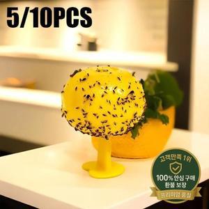 5/10개 과일 파리 트랩 캐쳐 주방용 끈끈이 구형 노란색 모기볼 해충 벌레 (감귤류 실내외용)