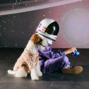 [롯데백화점]오르시떼 (80-85) 아동 C005 네뷸라 긴소매 상하 OR23FKGEC005