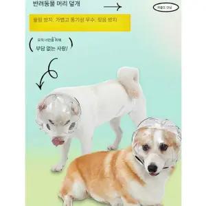 커멘 강아지페이스커버 멍템 양봉모자 넥카라 버그가드 투명 산책망 강아지생일파티용품 해충방지