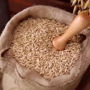 캐나다산 귀리 2kg 오트 잡곡-[정성든농수산]