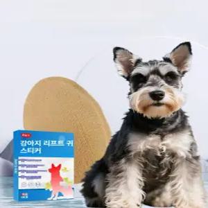 강아지귀 스티커 강아지귀염증 강아지귓병 귀지지대 귀보조대 귀스티커