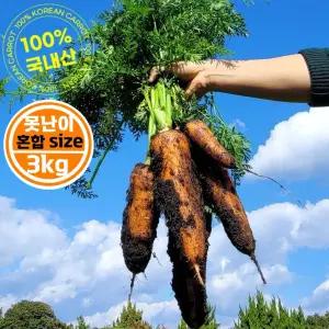국내산 제철 흙 당근 햇당근 (못난이 혼합 size) 3kg/주스용 당근요리/강원도 제주 구좌 경상도