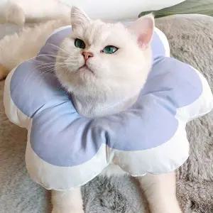 [콩심팥심]힐링타임 강아지 넥카라 애견 목보호대 깔대기 L