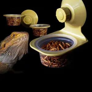 [콩심팥심]흡착식 파총류 밥그릇 1구 2구 양서류 급식대 먹이그릇 거북이