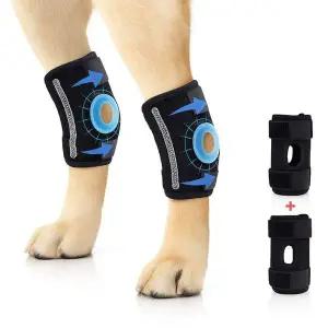 [콩심팥심]강아지 슬개골 관절 보호대 소형견 중형견 대형견 2개