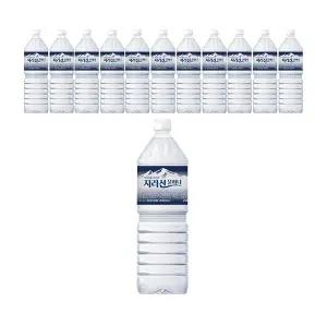 지리산 물하나 유/무라벨 랜덤, 2L, 12개