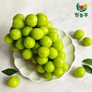 고당도 샤인머스켓 가정용 2kg (2~5수)