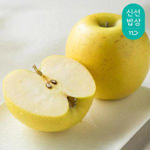 황금사과 국내산 시나노골드 가정용 2kg / 소과 12-14과