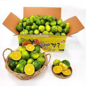 25년 제주 햇 극조생 감귤 2kg / 4.5kg 노지감귤