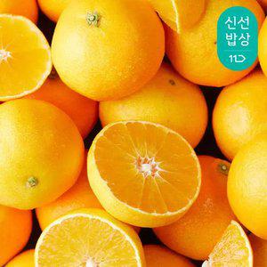 [품질보장]깨비농원 제주 황금향 4kg 소과(26-40과)