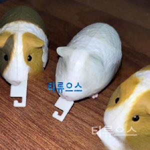 기니피그줄자 4컬러 귀여운 동물 1 기니피그 독특한 줄자 장식품 햄스터 그레이 가챠