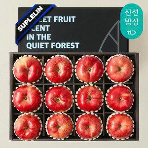 [내일도착] 경북 햇사과 3.1kg 12입